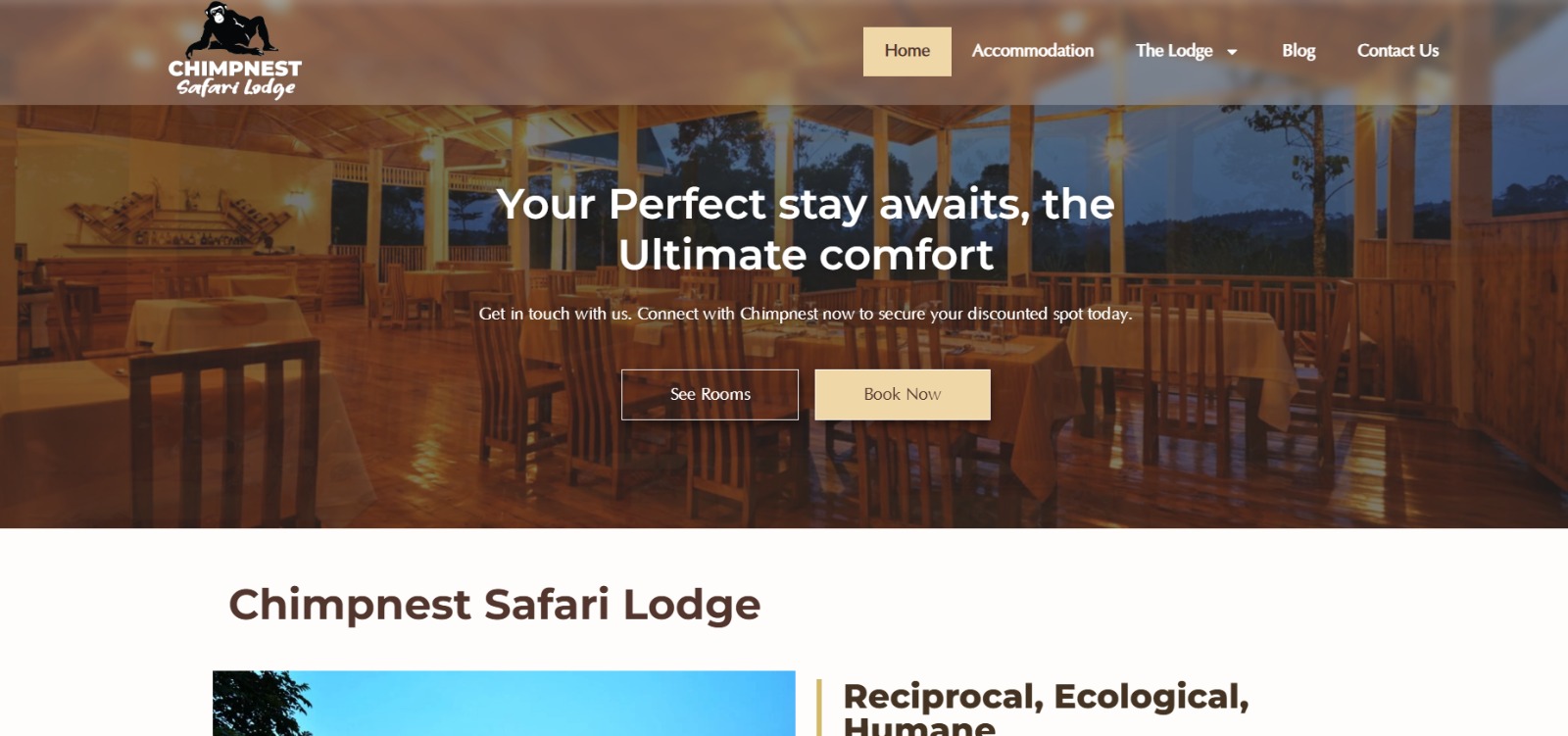 Chimp Nest Safari Lodge website screenshot
