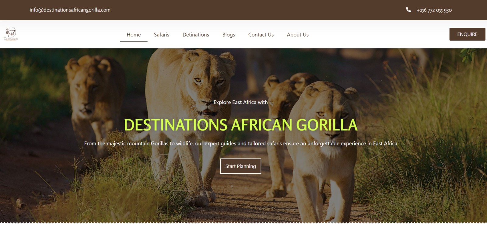 Destination Safari African Gorilla website screenshot