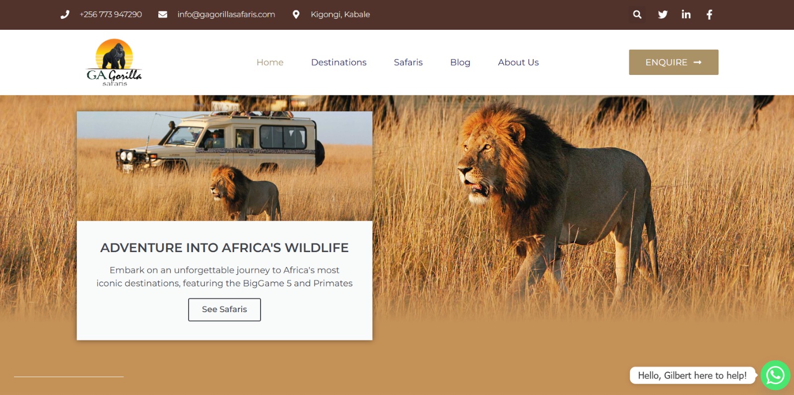 GA Gorilla Safaris website screenshot